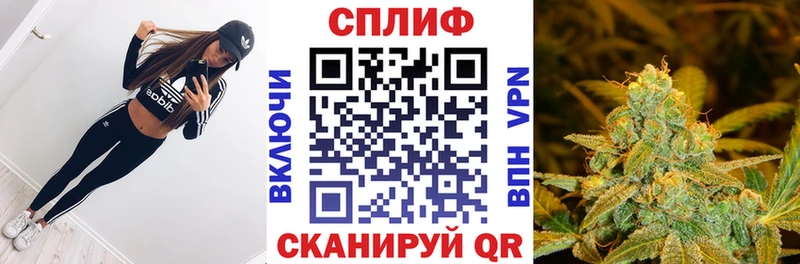 Бошки марихуана индика  Приволжск 